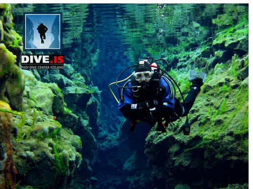 Learn dry suit diving
